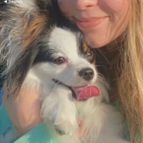 Meet your Posher, Jillian - Picture 4 of 6